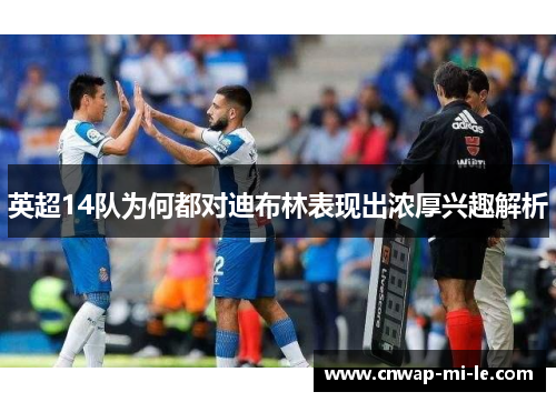 英超14队为何都对迪布林表现出浓厚兴趣解析 英超14队为何都对迪布林表现出浓厚兴趣解析