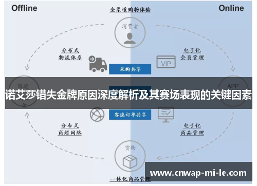 诺艾莎错失金牌原因深度解析及其赛场表现的关键因素
