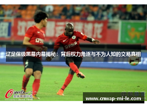 辽足保级黑幕内幕揭秘:背后权力角逐与不为人知的交易真相 辽足保级黑幕内幕揭秘:背后权力角逐与不为人知的交易真相