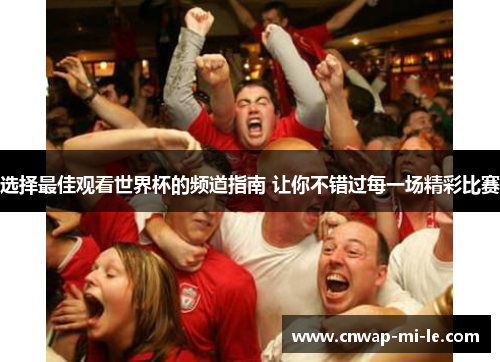 选择最佳观看世界杯的频道指南 让你不错过每一场精彩比赛