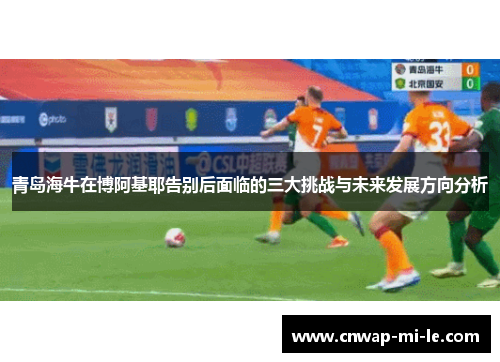 青岛海牛在博阿基耶告别后面临的三大挑战与未来发展方向分析