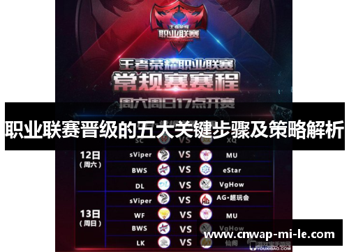 职业联赛晋级的五大关键步骤及策略解析