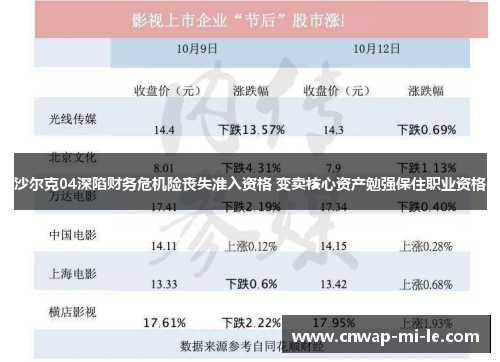 沙尔克04深陷财务危机险丧失准入资格 变卖核心资产勉强保住职业资格