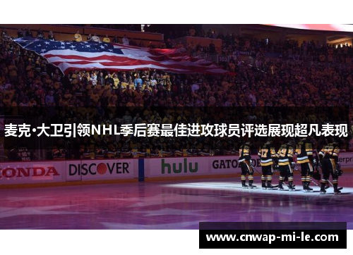 麦克·大卫引领NHL季后赛最佳进攻球员评选展现超凡表现