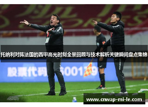 托纳利对阵法国的西甲高光时刻全景回顾与技术解析关键瞬间盘点集锦 托纳利对阵法国的西甲高光时刻全景回顾与技术解析关键瞬间盘点集锦